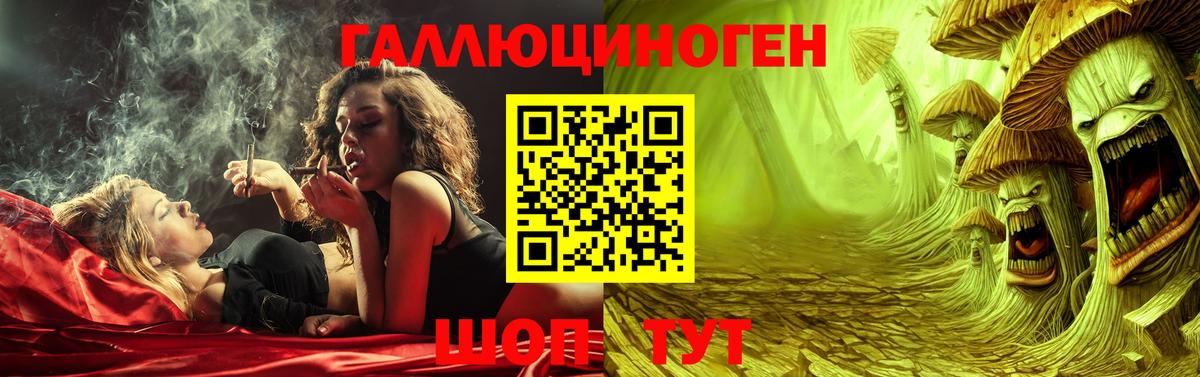 Псилоцибиновые грибы Psilocybe  Вход с VPN  Лабытнанги 